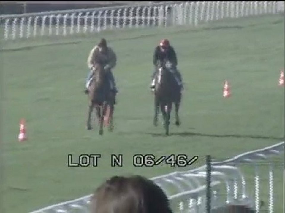Lot 6
