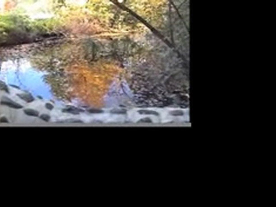 Couleurs d'Automne au Québec