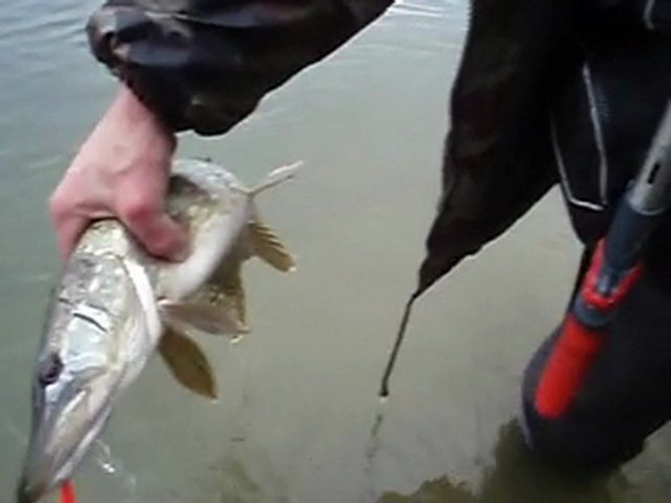 peche au brochet à l étang de lillion