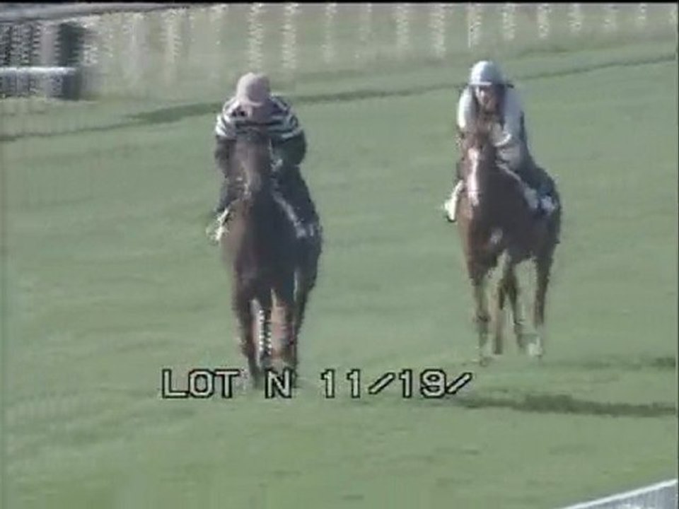 Lot 9