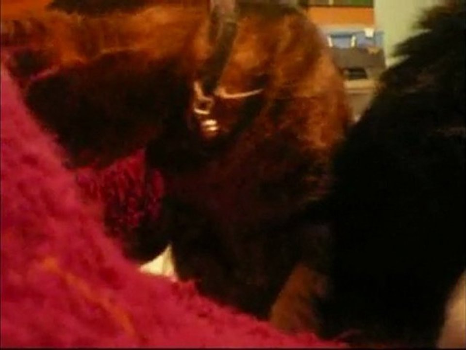 Buffy Plodding & Angel, Daisy