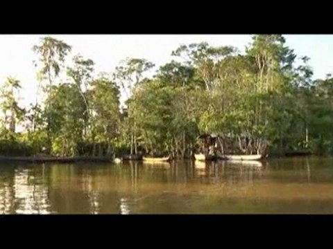 AIDES en Guyane: voyage parlementaire-mars 2010- v. courte