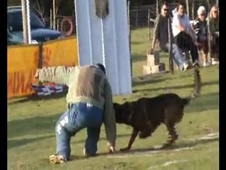 Bacchus pour son 2eme Ring 2