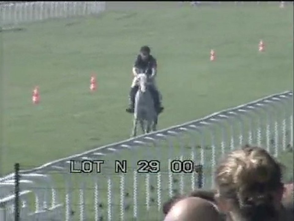 Lot 19
