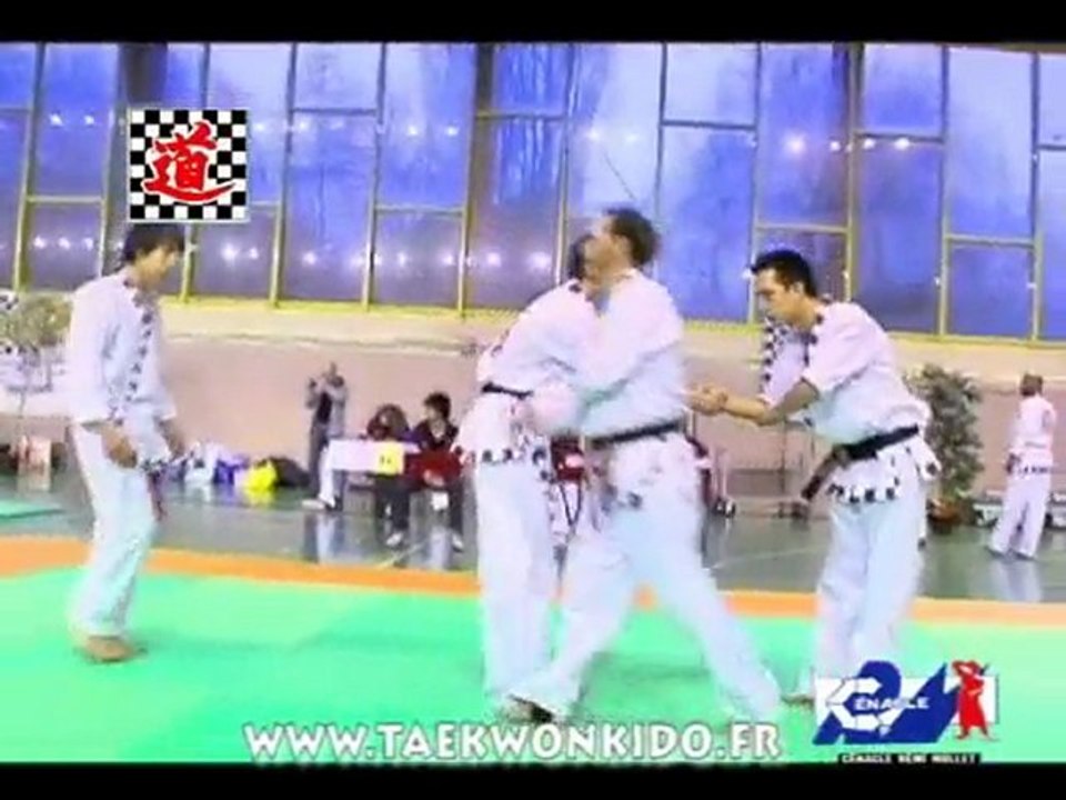 Clip Taekwonkido