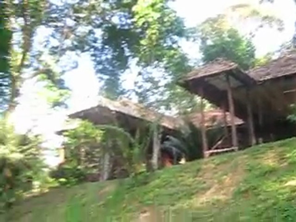 Taman Negara, Resort abandonne