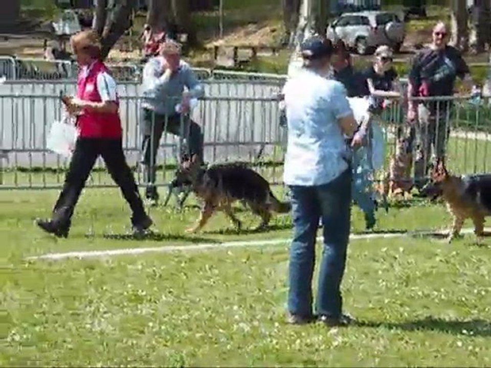 ELFY DE L'HACIENDA DEL MATADOR