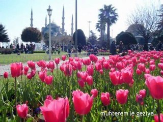Sultanahmet ve Gülhane Parkı 2010