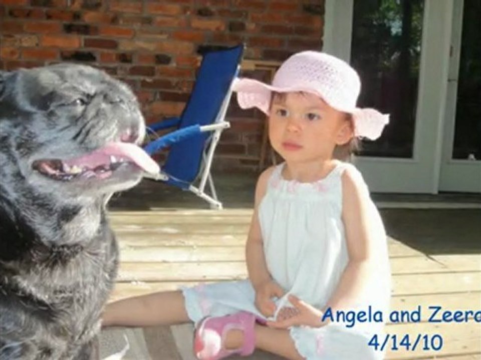 Toddler and Pug