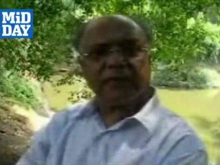 Death of varieties of fishes in Cubbon Park's lotus pond