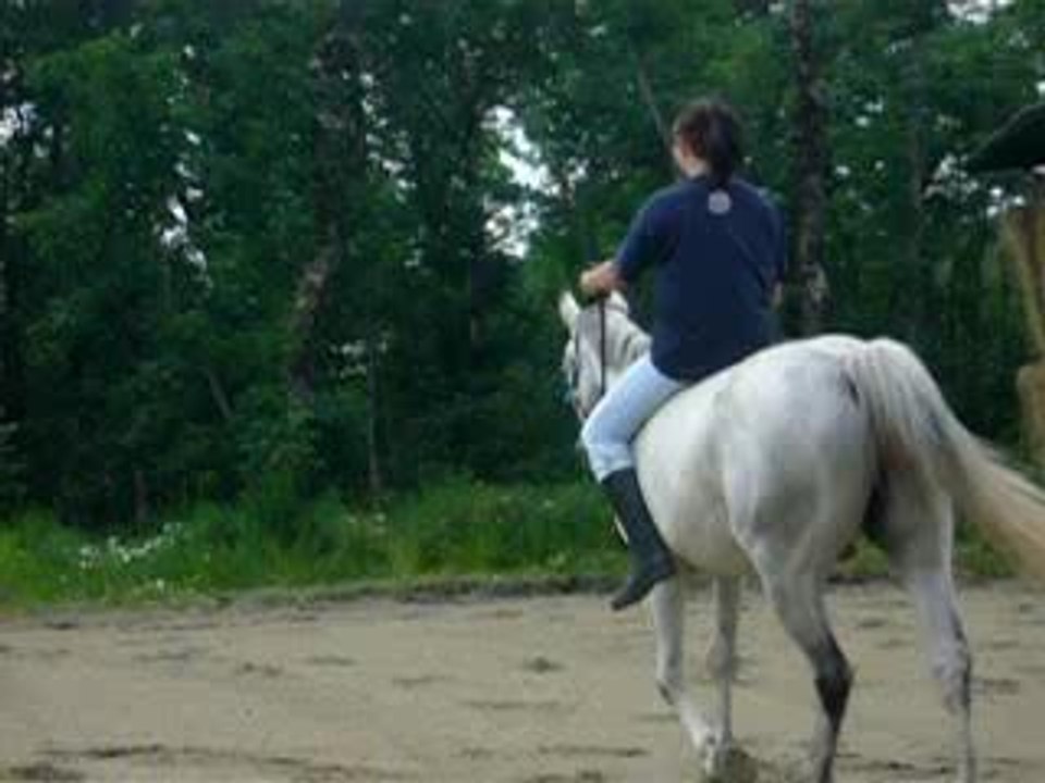 Photo 052