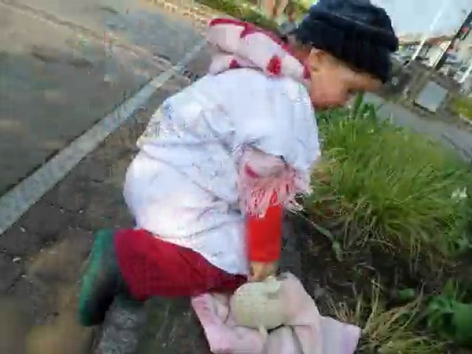 Le carnaval d'April ( Mercredi 14 Avril 2010 )