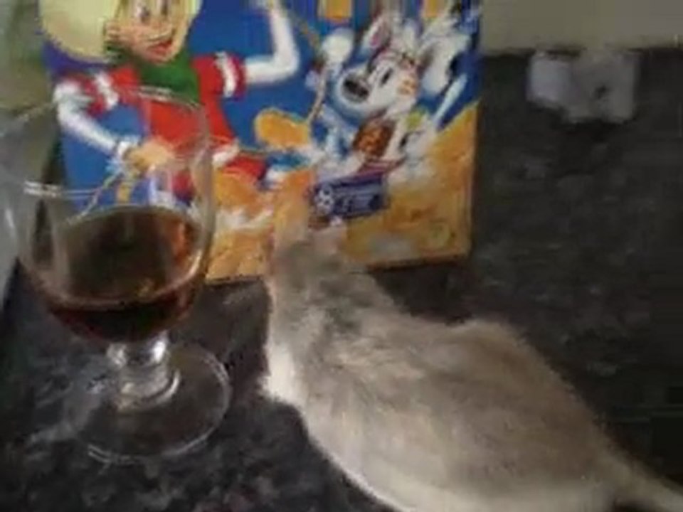 micrus et sa famille