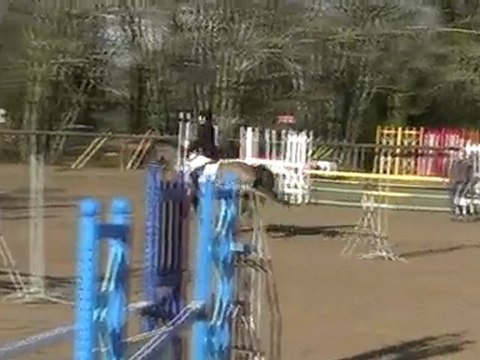 - CSO Zance - Fin Fév' 10 - Kavall de Leyrieu& PoOki - 5e/40