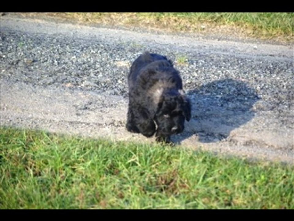 les bébés de canelle_0001