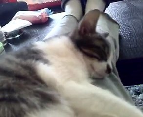 nenni nenni bebek:))