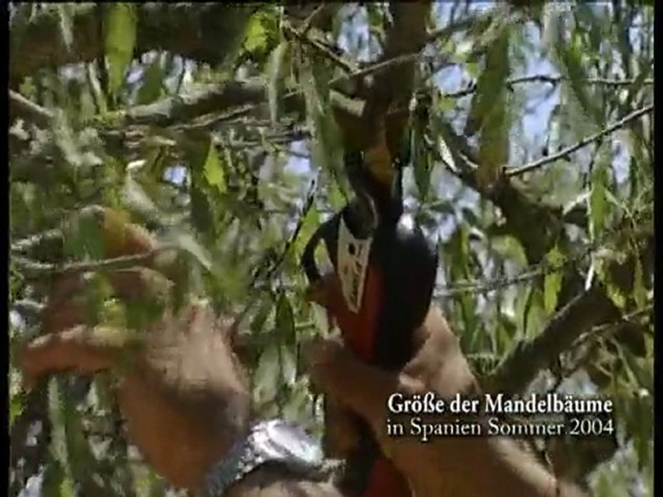 Infaco - Die elektronische Astschere F3005