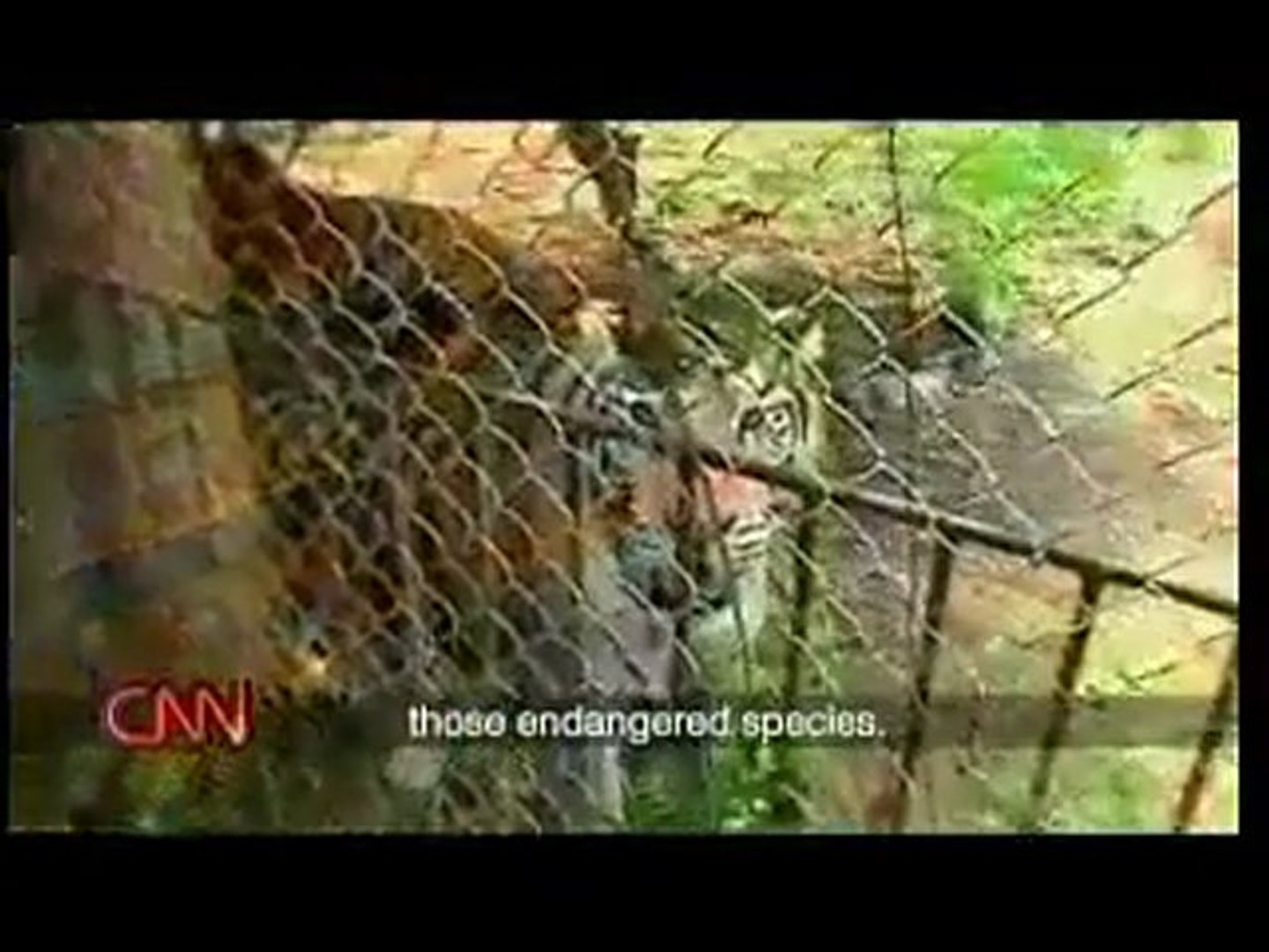 ⁣endangered species in your plate