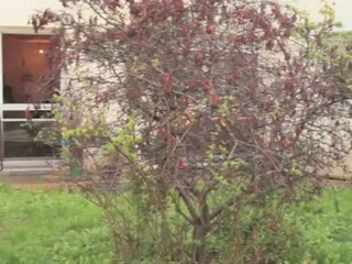 Casting miss météo canal+