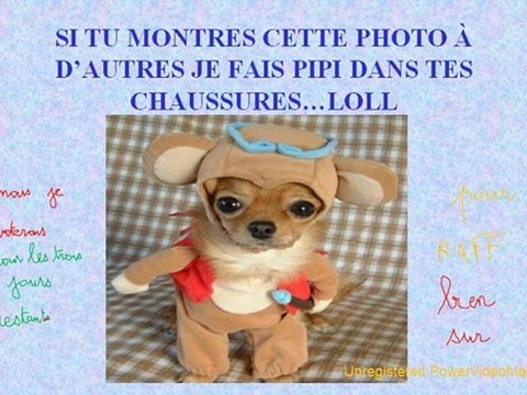 Le jour de l'amitié pour Raff-04-15-18-33_wmv