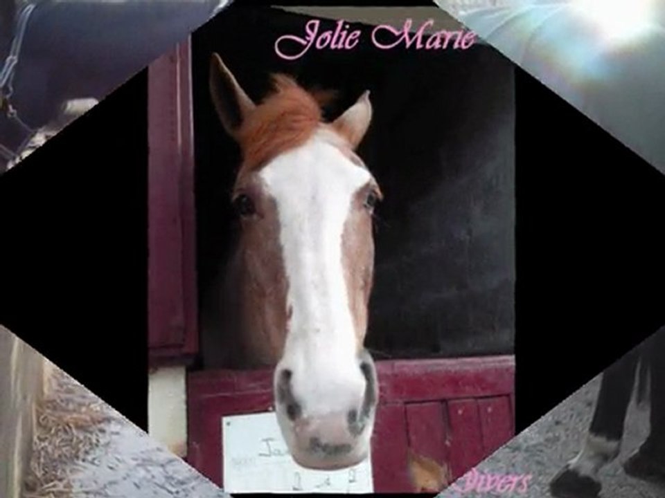 Ma vie, Mes amours , Eux tout simplement  [ x3 ] .