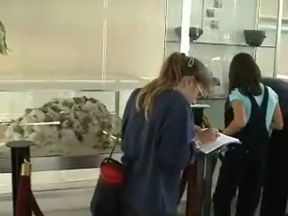 6MedCorte
