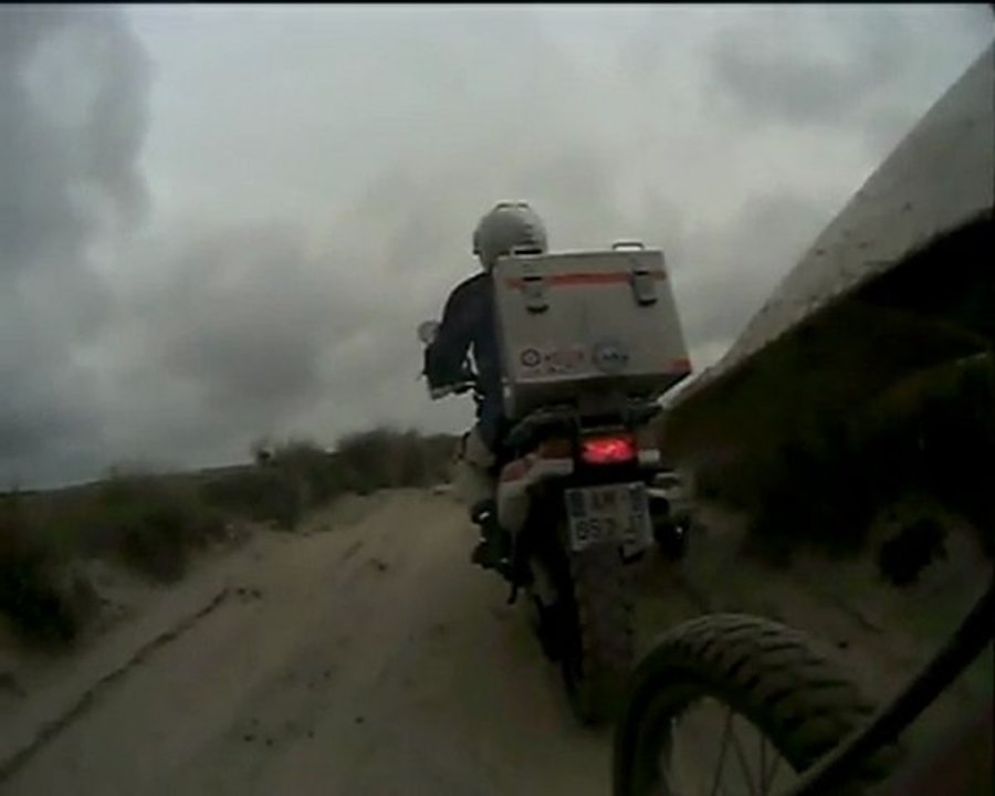 MTP_camargue_2