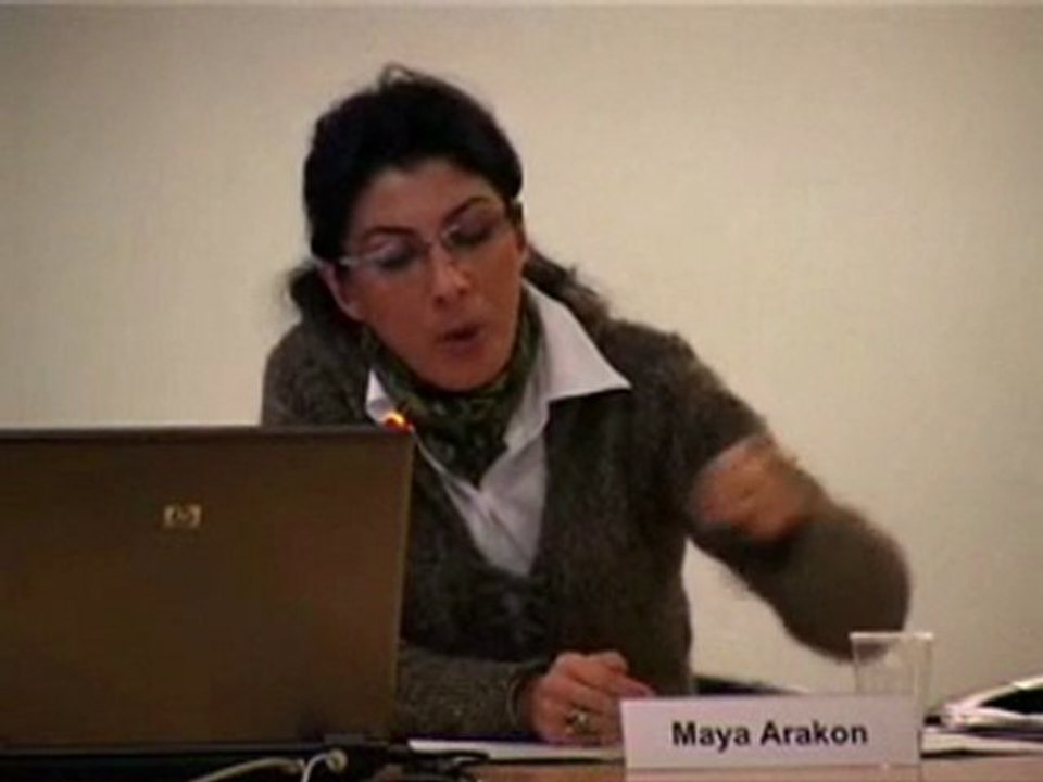 M. Arakon / OBTIC "N. Irish peace pr. and Kurdish ques" 3/3