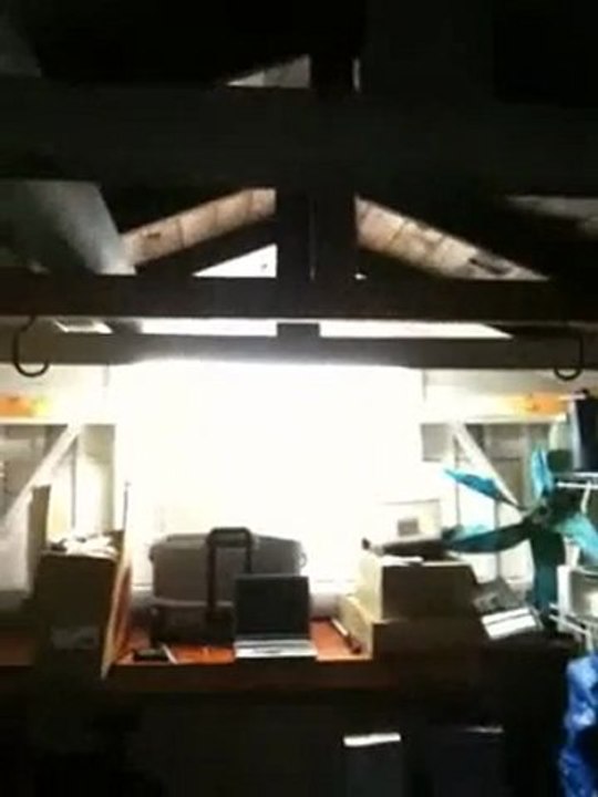 Where I do my Insanity Workout
