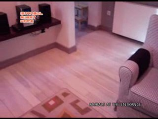 Murals at the Entrance