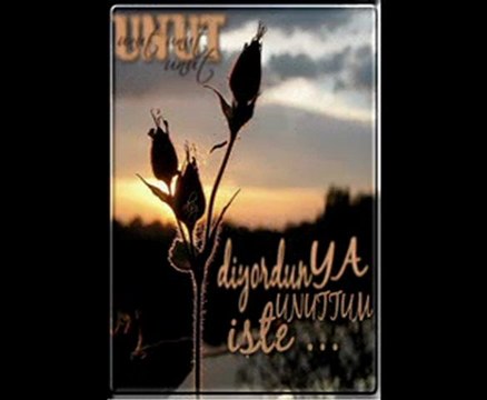 Unuttum iste-Gullu