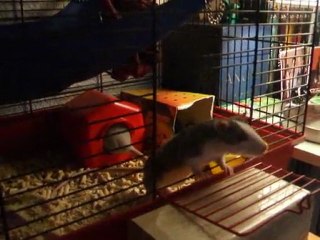 Blue et Moka : rencontre