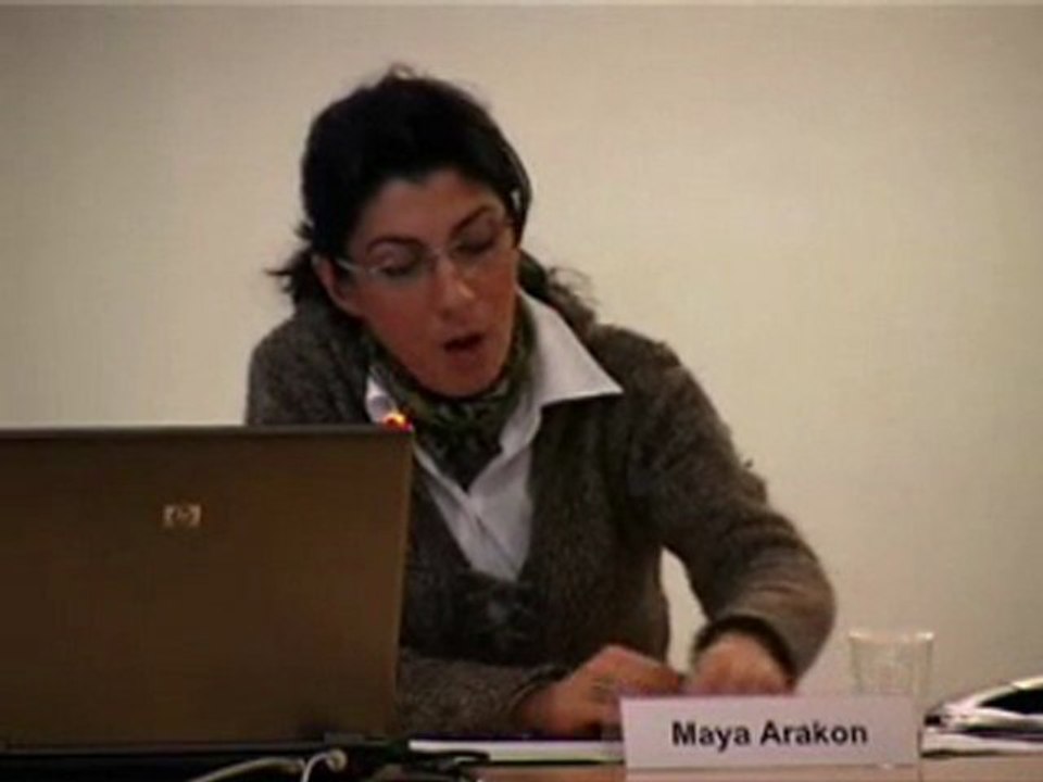 M. Arakon / OBTIC "N. Irish peace pr. and Kurdish ques" 2/3