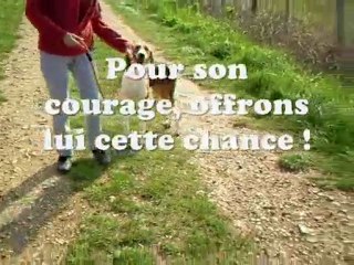 S.P.A. de Poitiers : "Opération FIDJI"