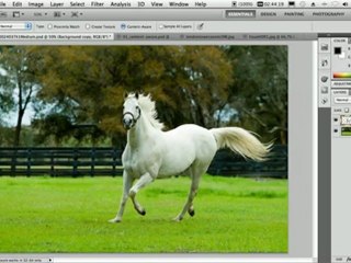 Adobe Photoshop CS5 (1) - sorbize.com