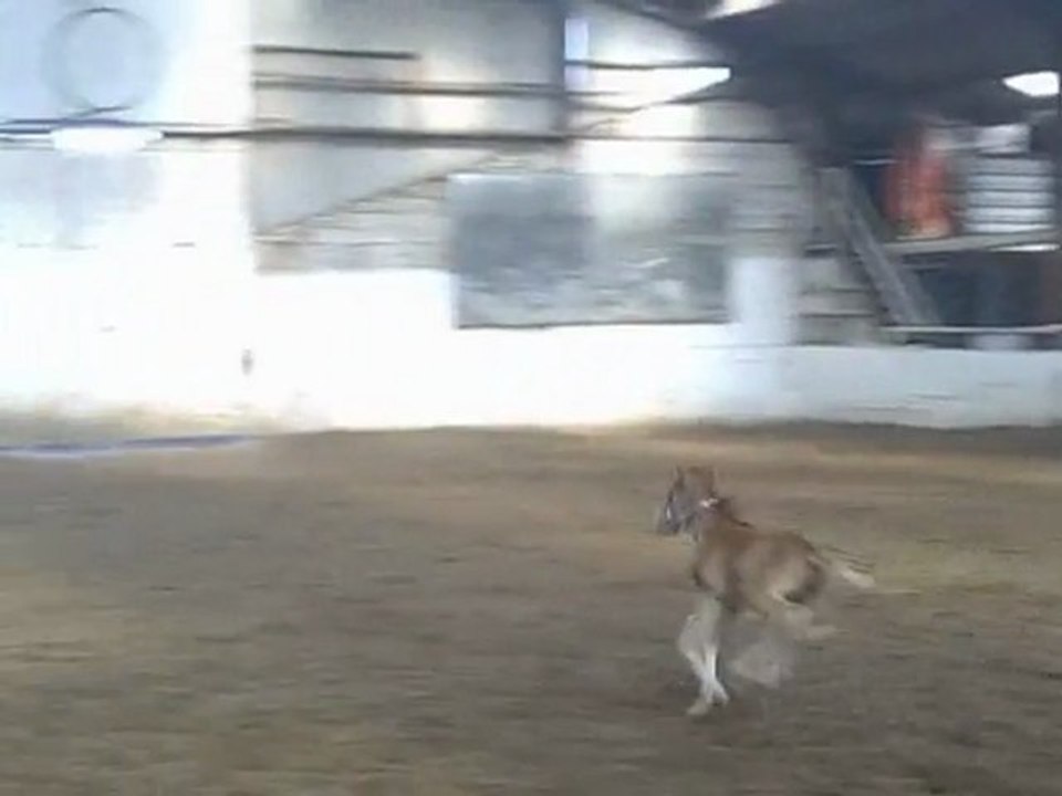 12 éme jour de vie de bébé spirit