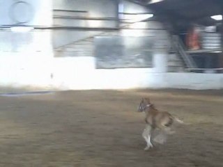 12 éme jour de vie de bébé spirit