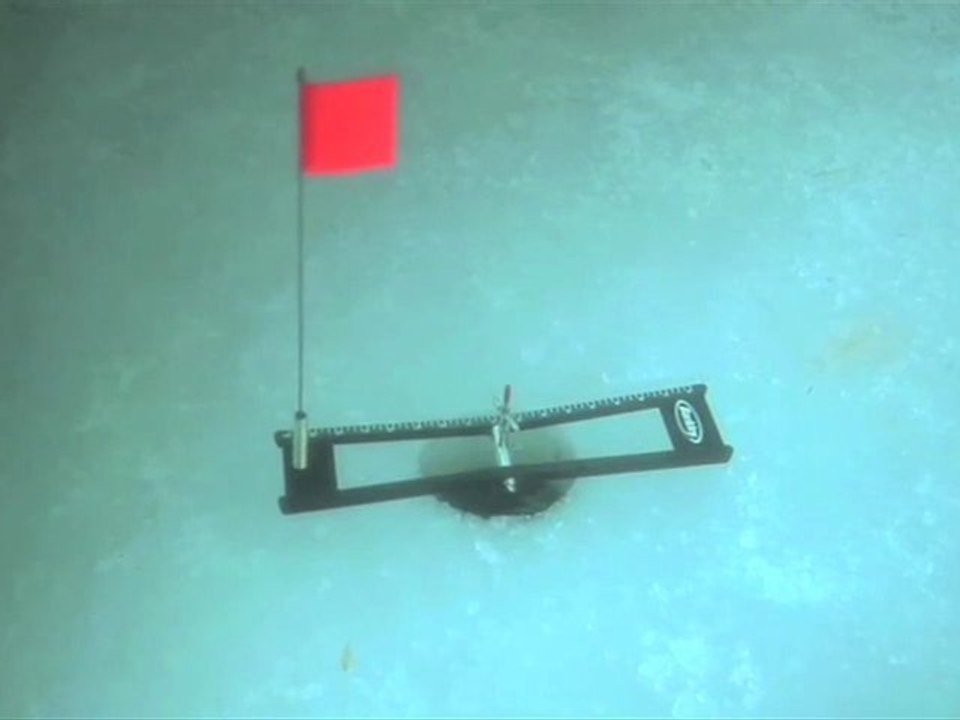 Hypothermia Trailer