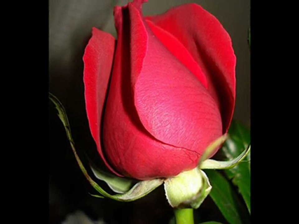 Orhan Ölmez Açma Zülüflerin