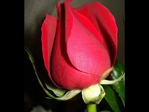 Orhan Ölmez Açma Zülüflerin