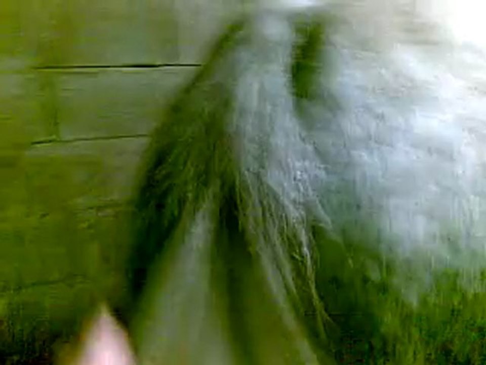 moi with yann norus && maelle