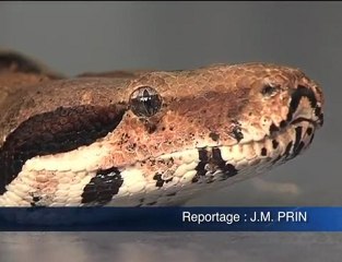 Formation NAC Pompiers