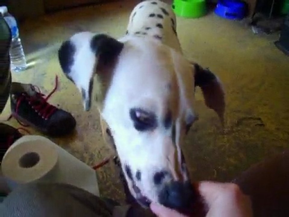 dounya 1ères caresses