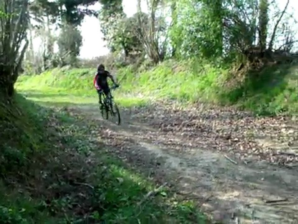 VTT divers