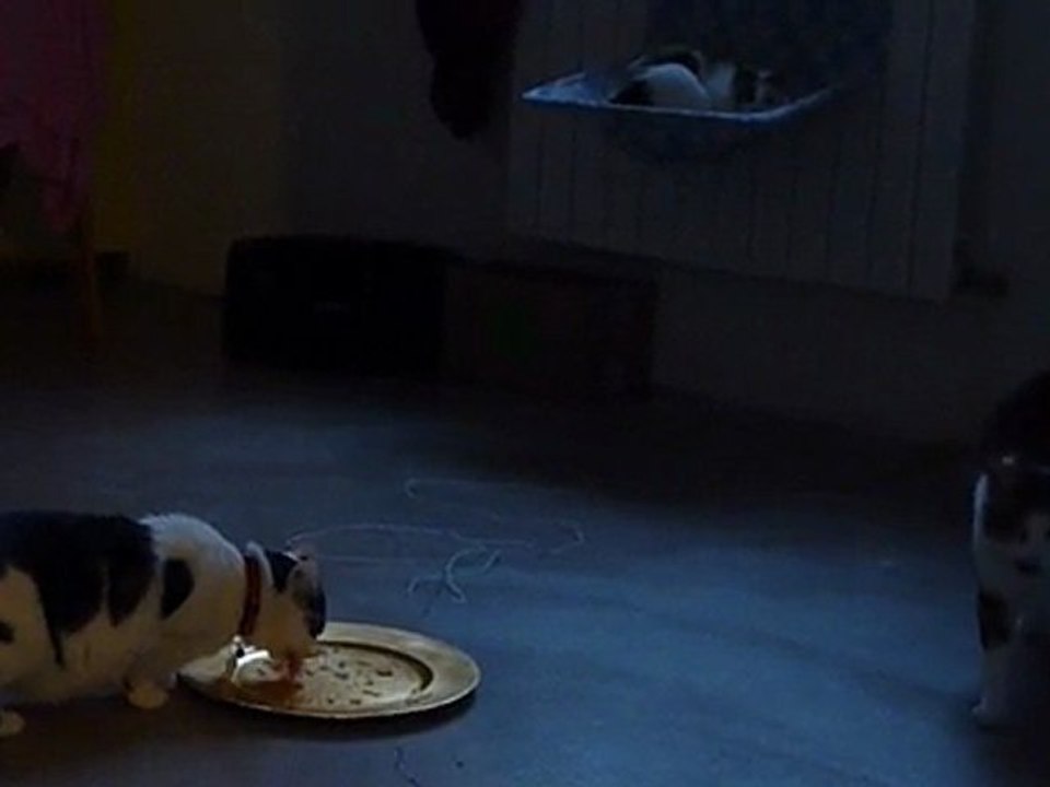 Marquise miam mars 10