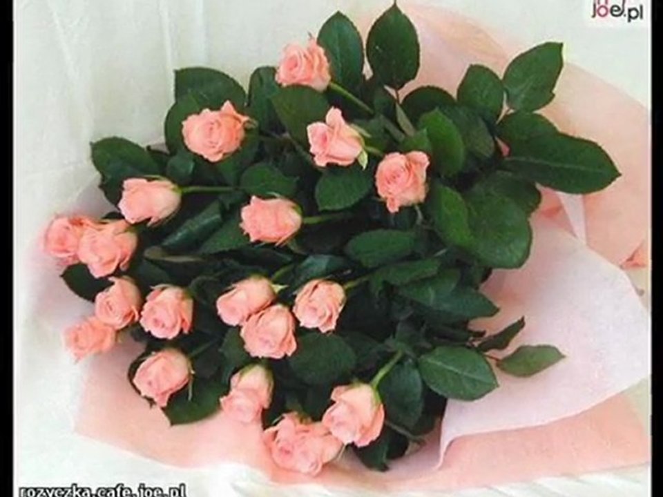 Życzenia Urodzinowe Dla Eli [ Sikoreczki ]