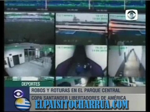 hinchas brasileros roban bandera