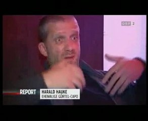 ORF Report - Das Ende der Gürtelkönige