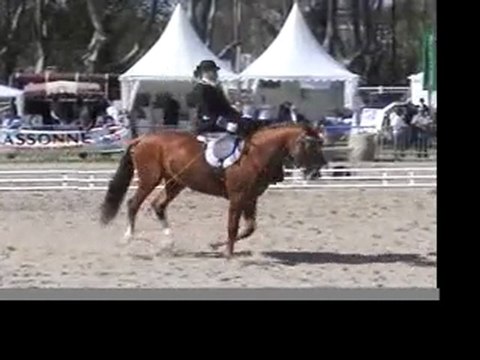 Carcassonne 2010 - Elégance 4eme partie