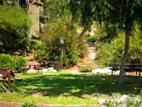 Ridgecrest Homes Apartments in Lake Forest, CA - ForRent.com